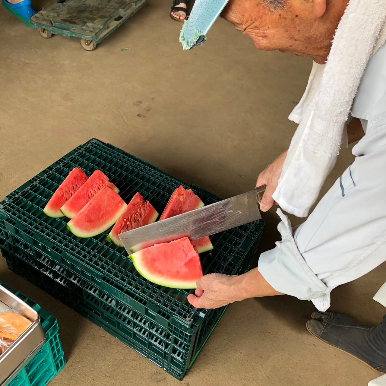 恵みの里:収穫したすいかを切り分ける生産者