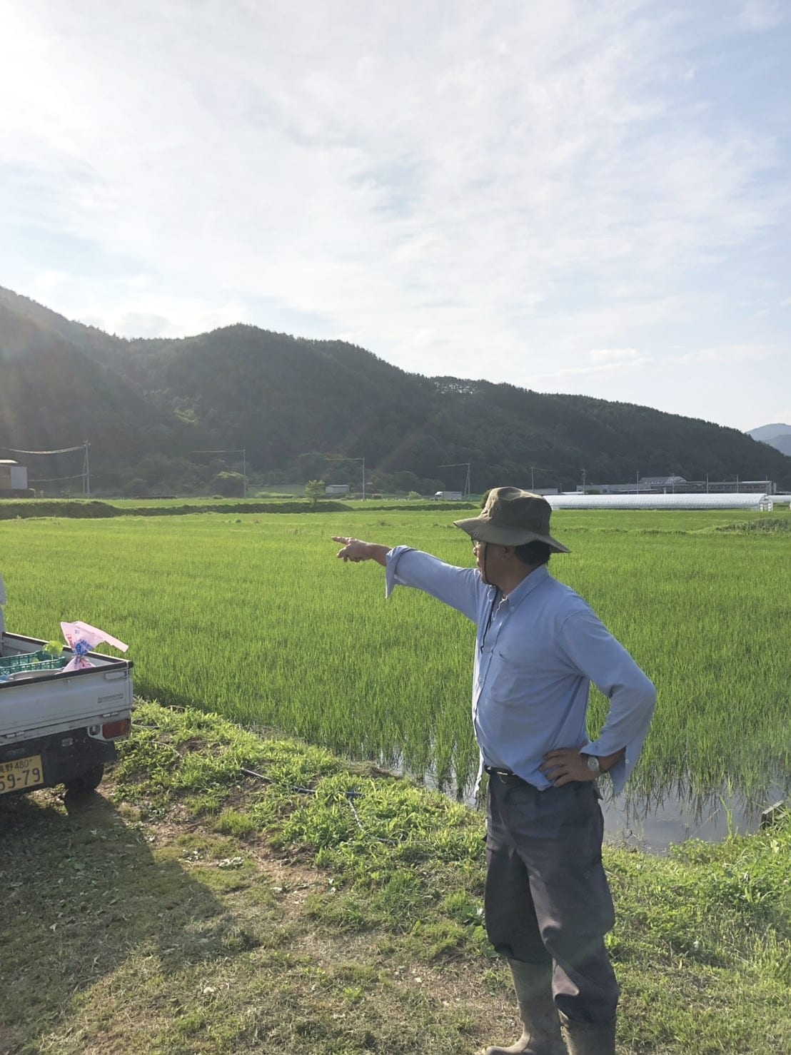 両角農園:水田を案内する両角農園の生産者