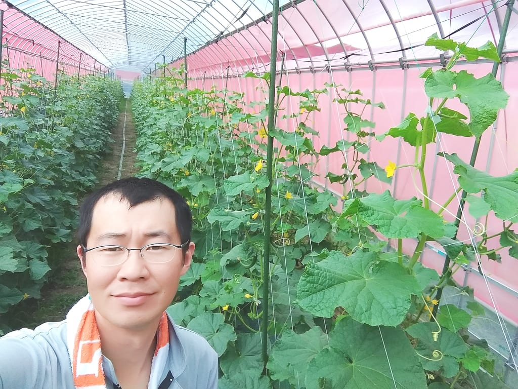 サニーファーム(笠井農園):きゅうりの温室で笑顔を見せるサニーファームの生産者
