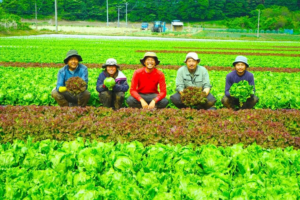 畑に並ぶ生産者の皆さん